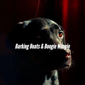 Barking Beats & Boogie Woogie - Relaxing Dogs