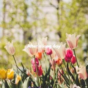 After a long day - Wine Bar Music