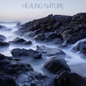 Healing Nature - Yoga Namaste