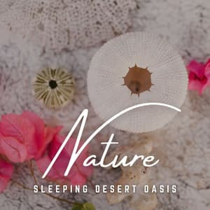 Sleeping Desert Oasis: Sand and Stars - Deep Sleep FX