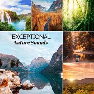 Exceptional Nature Sounds - Sound of Nature Library