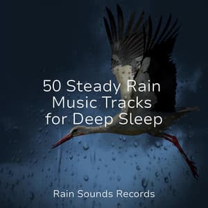 50 Steady Rain Music Tracks for Deep Sleep - Cascada de Lluvia
