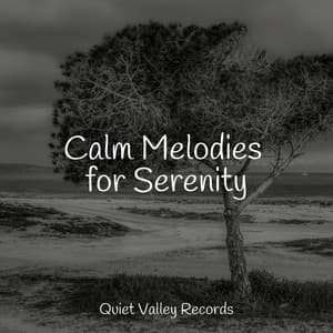 Calm Melodies for Serenity - Rain Spa