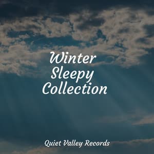 Winter Sleepy Collection - Binaural Creations