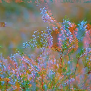 Backdrop for Winter Tales - Jazz Quintet - Music for Work