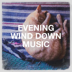 Evening Wind Down Music - Relaxation - Ambient