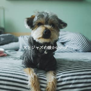 犬とジャズの暖かいハグ - Happy Music for Dogs