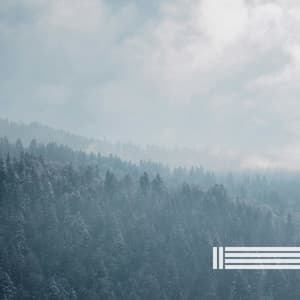 Forest Sounds, Birds Sounds - Birds In The Forest