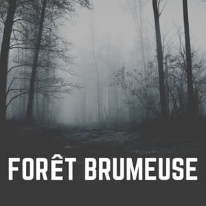Forêt Brumeuse - Sons de la nature