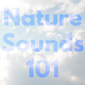 Nature Sounds 101 - Lightning, Thunder and Rain Storm