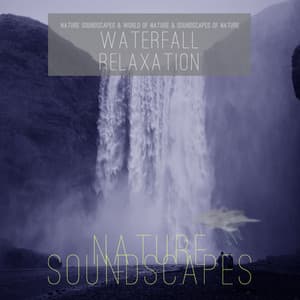 Waterfall Relaxation - Nature Soundscapes