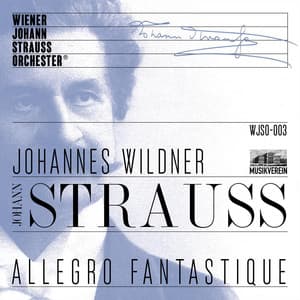 Allegro fantastique - Live recorded at Musikverein Vienna - Wiener Johann Strauss Orchester