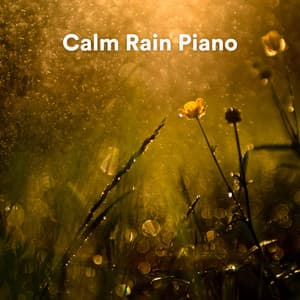 Calm Rain Piano - Calm Piano