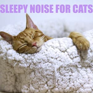 Sleepy Noise for Cats - Cat Music Jukebox