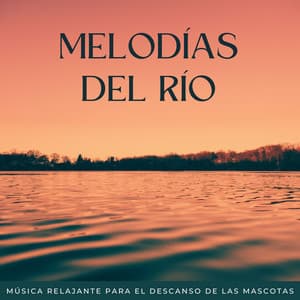 Melodías Del Río: Música Relajante Para El Descanso De Las Mascotas - Musica Instrumental Para Relajar tus Sentidos
