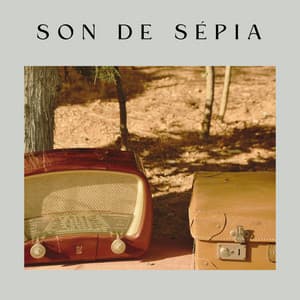 Son de Sépia - Bruit Brun