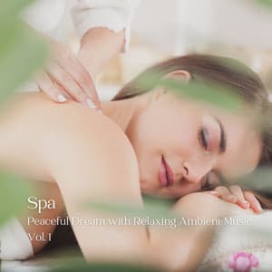 Spa: Peaceful Dream with Relaxing Ambient Music Vol. 1 - Spa & Spa
