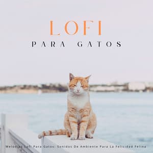 Melodías Lofi Para Gatos: Sonidos De Ambiente Para La Felicidad Felina - Contenido de calidad Lofi