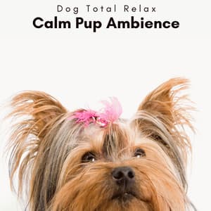 1 Calm Pup Ambience - Dog Total Relax