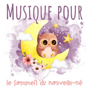 Musique pour le sommeil du nouveau-né : Berceuses relaxantes, Sons apaisants, Bruit blanc naturel et comptines pour aider votre bébé à dormir toute la nuit et à dormir profondément - Ensemble de Musique Zen Relaxante