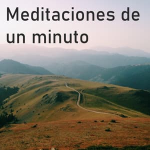 Meditaciones de Un Minuto - Alejandro Juárez