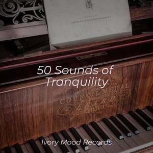 50 Sounds of Tranquility - Ivory Mood
