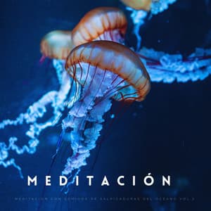 Meditación Con Sonidos De Salpicaduras Del Océano Vol.2 - Biblioteca relajante del océano