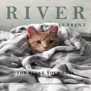 River Current for Relax Your Cats - White Noise Team by Beneluxa