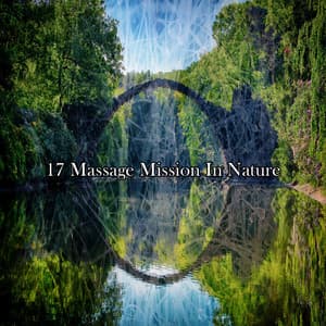 17 Massage Mission In Nature - Sleep Songs with Nature Sounds
