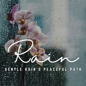 Meditative Rain Symphony: Finding Peace in Rain - Ricky Rainsound