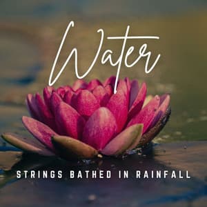 Melodic Showers: Acoustic Rainfall Rhythms - Rain Drops for Sleep