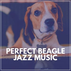 Perfect Beagle Jazz Music - Study Jazz