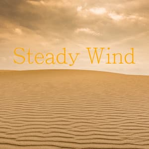 Steady Wind - Wind Sounds