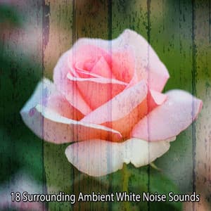 18 Surrounding Ambient White Noise Sounds - White Noise Babies