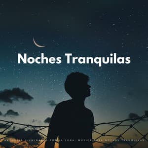 Melodías Iluminadas Por La Luna: Música Para Noches Tranquilas - Tranquilidad Eterna
