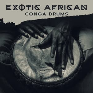 Exotic African Conga Drums: Tribal Music for Relaxation & Afro Percussion - African Music Drums Collection