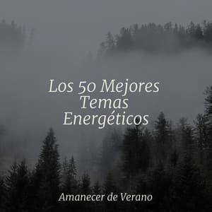Los 50 Mejores Temas Energéticos - Música Para Meditar y Relajarse