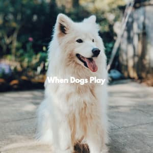 When Dogs Play - Cleaning Music Play List