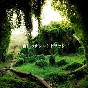 自然のサウンドトラック - Cena Jazz