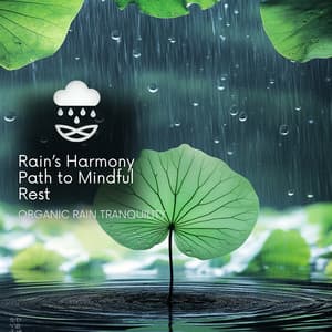 Rain’s Harmony Path to Mindful Rest - Organic Rain Tranquility