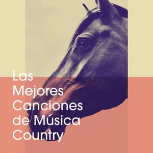 Las Mejores Canciones De Música Country - Party Hit Kings