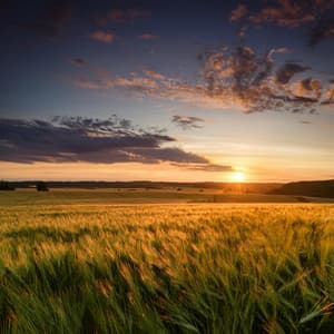 Orchestra Of Tranquil Moments: Symphonic Soundscapes For Deep Relaxation - Bertie Lambert