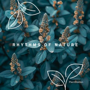Rhythms of Nature: Plant Growth Essence - PlantStation