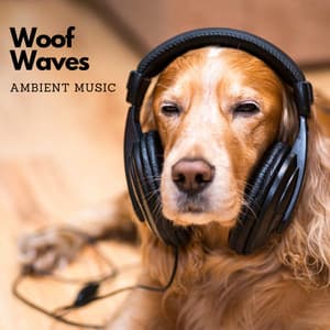 Woof Waves: Ambient Music - Delta Pure Waves