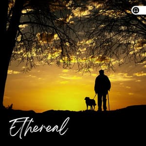 Ethereal - Sounds Of The Earth
