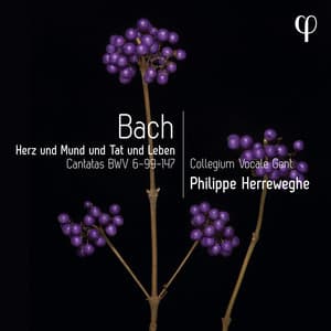 Herz und Mund und Tat und Leben - Bach: Cantatas BWV 6-99-147 - Johann Sebastian Bach