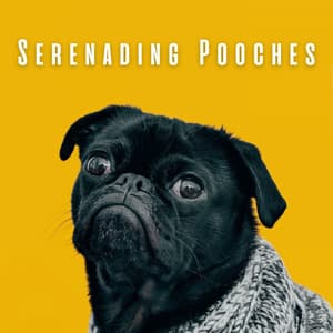 Serenading Pooches: Music for for Loyal Dogs - Soft Background Music