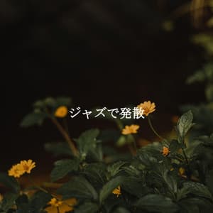 ジャズで発散 - Coffee Shop Music