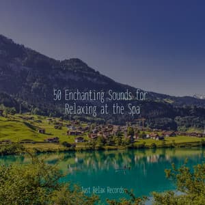 50 Enchanting Sounds for Relaxing at the Spa - Relajación