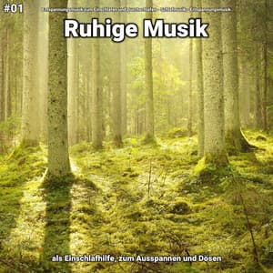#01 Ruhige Musik als Einschlafhilfe, zum Ausspannen und Dösen - Entspannungsmusik zum Einschlafen und Durchschlafen